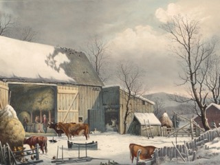 Cattle stand in a snowy farmyard in front of an open barn full of hay, with bare trees and a red farmhouse on the right.