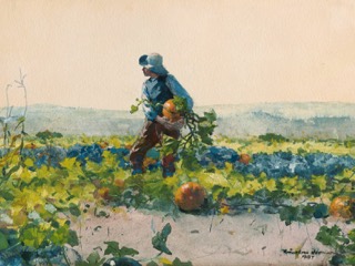 A boy in a blue shirt and hat carries a pumpkin through a field of pumpkin vines and cabbages, under a pale sky.