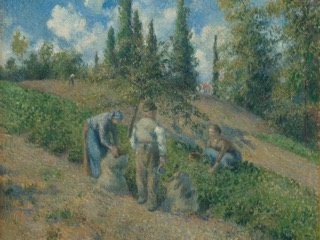 Farm workers bend to gather potatoes on a sloping field below tall green poplars and a blue, cloudy sky.